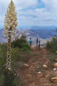 Facing West toward El Capitan San Diego photo by nina gould